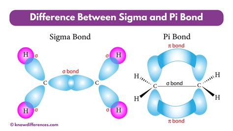 Difference Between Sigma And Pi Bond Know Differences