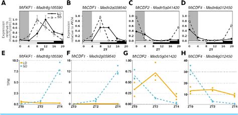 Figure 2 From The Transcriptomic Response To A Short Day To Long Day