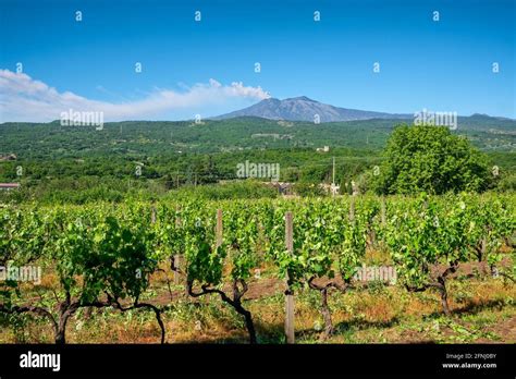 Italien Sizilien Tna Vulkan Krater Fotos Und Bildmaterial In Hoher