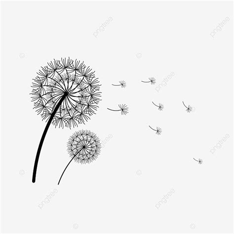 Dandelions Silhouette PNG Free, Dandelion Silhouette Vector, Dandelion ...