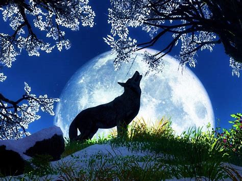 Wolf Moon HD desktop wallpaper : Widescreen : High Definition : Fullscreen