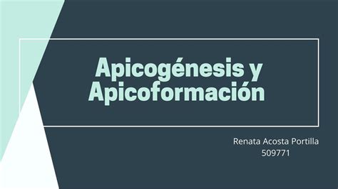 Apicog Nesis Y Apicoformaci N Renata Acosta Portilla Udocz