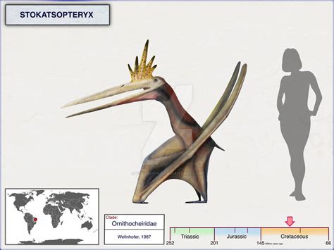 Stokatsopteryx By Cisiopurple On Deviantart