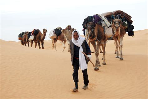 Sahara Desert Caravan