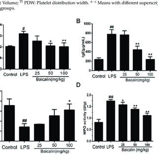 Effect of baicalin on the TNF α IL 1β and IL 6 levels in BALF and