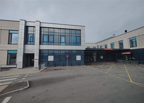 tracking   rare hazel dormouse cumbriacrackcom