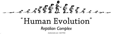 Human Evolution Funny Photos and Images | Shutterstock