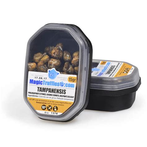 Gram Tampanensis Magic Truffles Magic Truffles