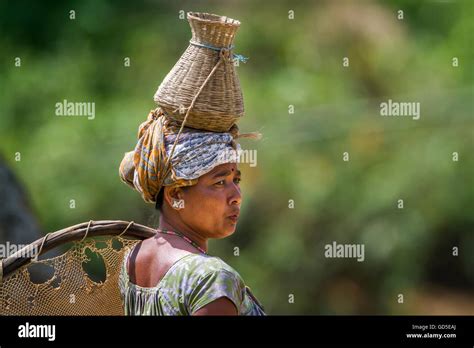 Tharu nepal national park hi-res stock photography and images - Alamy