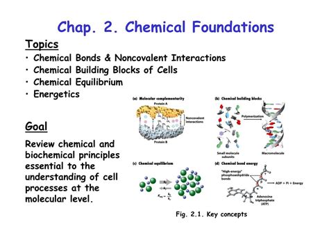 Ppt Chap 2 Chemical Foundations Powerpoint Presentation Free Download Id 6135989