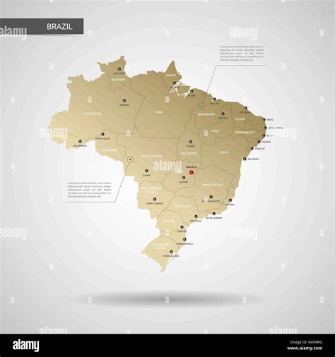 Vector estilizados mapa de Brasil Infografía 3d oro ilustración mapa