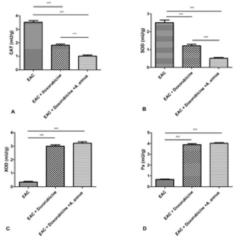 Effects Of Doxorubicin And Doxorubicin Artemisia Annua L On Tumour