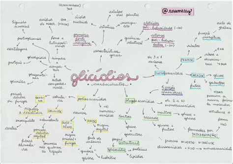 Mapas Mentais Sobre Carboidratos Study Maps The Best Porn Website