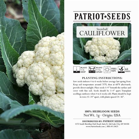 Heirloom Snowball Self Blanching Cauliflower Seeds 1g Patriot Seeds