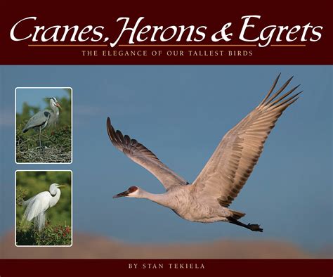 Cranes, Herons & Egrets - AdventureKEEN Shop