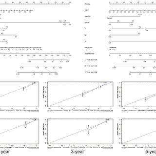 Nomogram And Calibration Plots In Both Tcga And Arrayexpress Databases