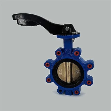 Manual Ductile Cast Iron Lug Type Butterfly Valve C Disc China