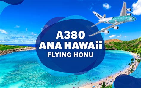 Flying Honu（フライングホヌ） 成田ーホノルル間定期運航情報ana