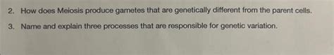 Solved 2. How does Meiosis produce gametes that are | Chegg.com