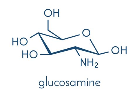 Chondroitin And Glucosamine