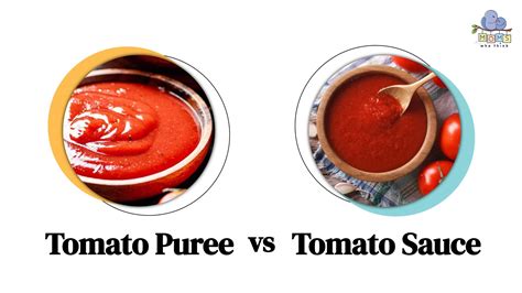 Tomato Puree Vs Tomato Sauce Key Differences And How To Use Each Moms Who Think