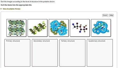 Sort The Images Ccording To The Level Of Structure In The Proteins