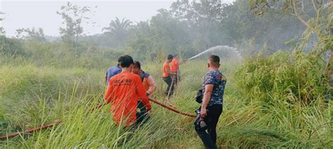 Api Bakar Sampah Meluas 2 Hektar Lahan Ludes Terbakar BertuahPos