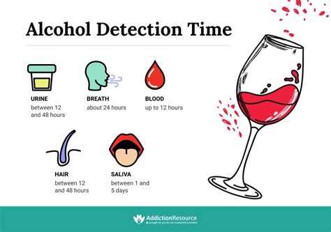 How Long Does It Take For Alcohol To Leave Your System Pee Test At Ken