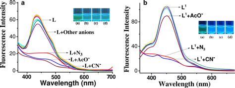 Fluorescence Spectrum And Change In The Fluorescence Spectrum Of