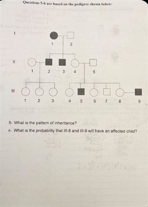 Solved Questions 5 6 ﻿are Based On The Pedigree Shown