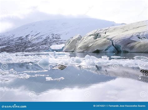 Jostedalsbreen glacier stock image. Image of travel, water - 3474321