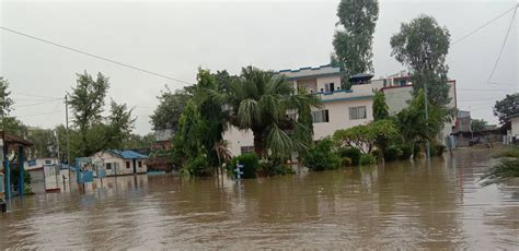 कैलालीमा बाढीको बितण्डा भजनीका अधिकांश वडा डुबानमा एक जनाको मृत्यु