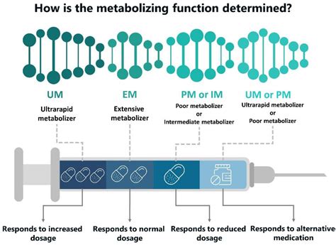 Pharmaceutics Free Full Text Pharmacogenetic Testing A Tool For