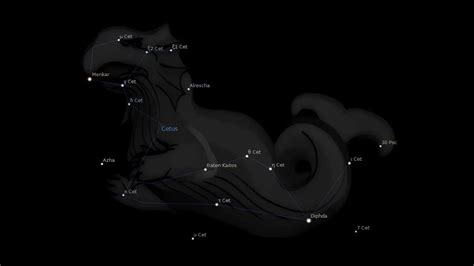 Cetus Constellation Stars – Astrology King