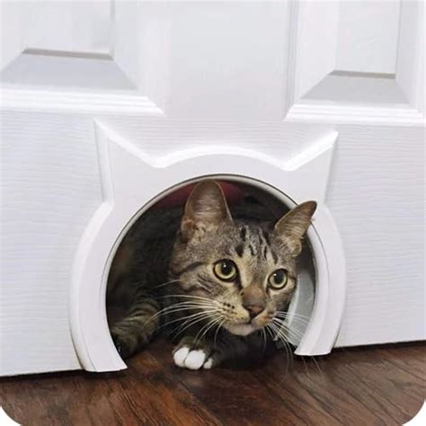 20+ Cute and Creative Interior Cat Door Ideas - Whiskers Magoo