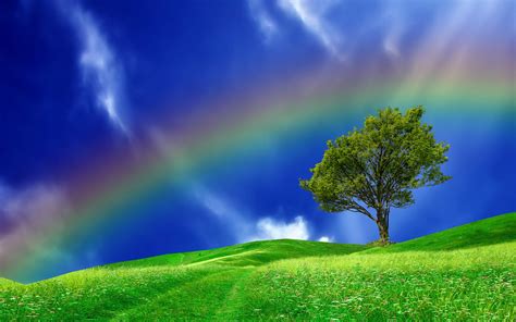 Nature Wallpaper Rainbow