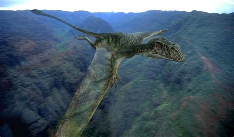 Jurassicworlddimorphodon Jurassic Pedia