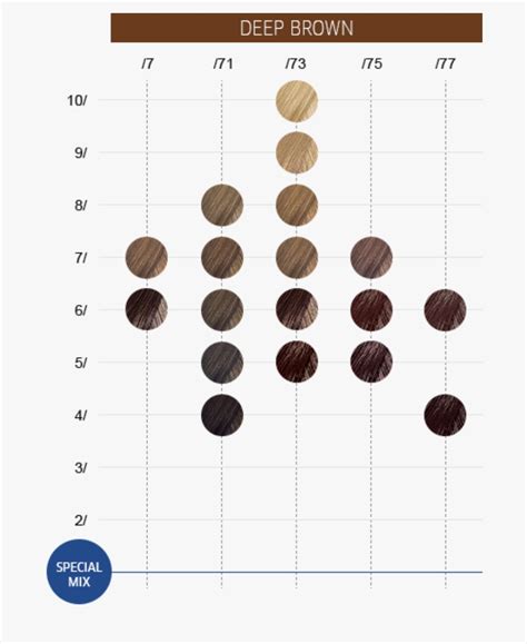 Wella Color Touch Chart Pdf Asha Grigsby