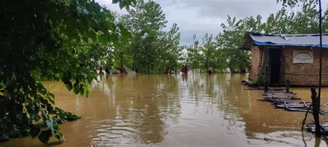 कैलालीमा बाढी सयौं परिवार प्रभावित सुदूरपश्चिम कान्तिपुर समाचार