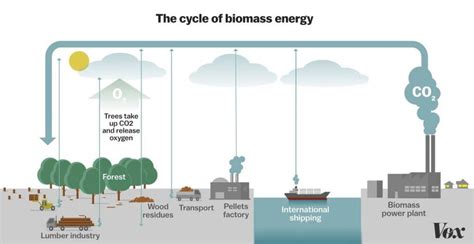 Biomass Energy (Bio-energy) - UPSC - UPSC Notes » LotusArise