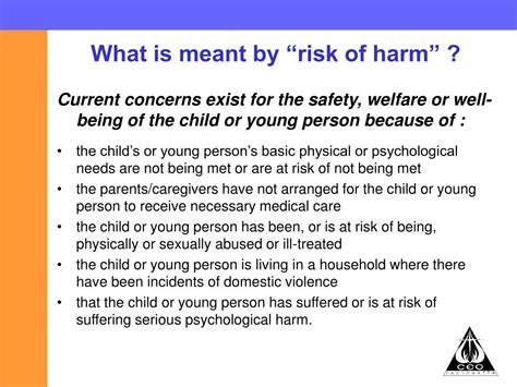 reporting risk  harm  docs powerpoint