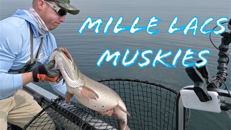 FISHING MILLE LACS For GIANT MUSKIES YouTube