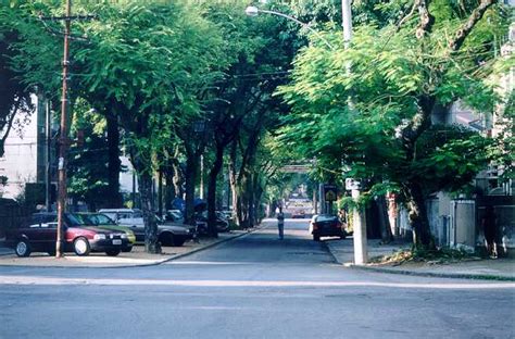 Breve Hist Ria Do Bairro Do Graja Que J Cresceu Projetado Di Rio Do