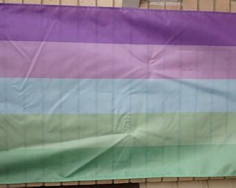 Toric Pride Flag Etsy