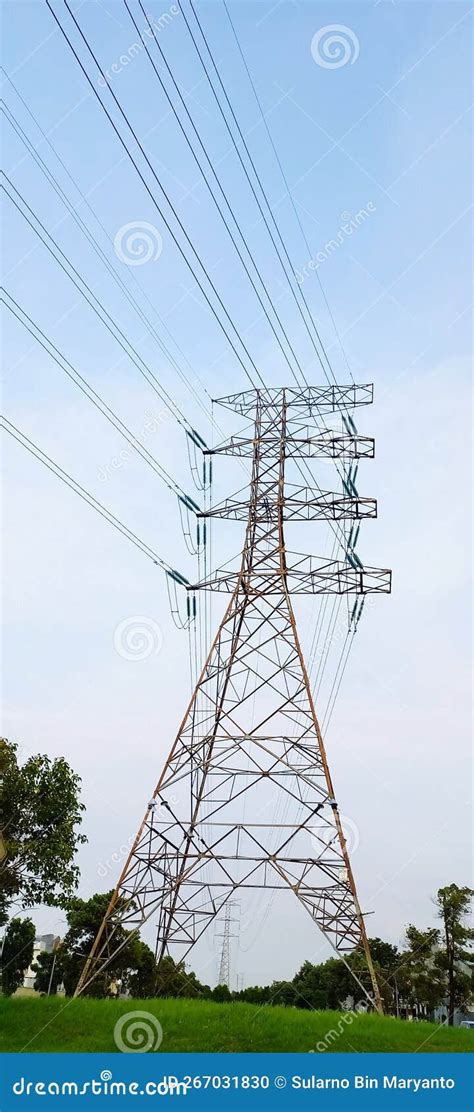 Electricity Network Towers Royalty Free Stock Image