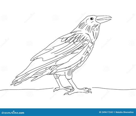 Raven Line Drawing Sketch On White Background Stock Illustration