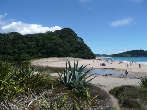 Hot Water Beach, New Zealand | Hot water beach, Beach, Water