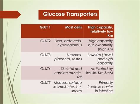 Presentation glucose transporters