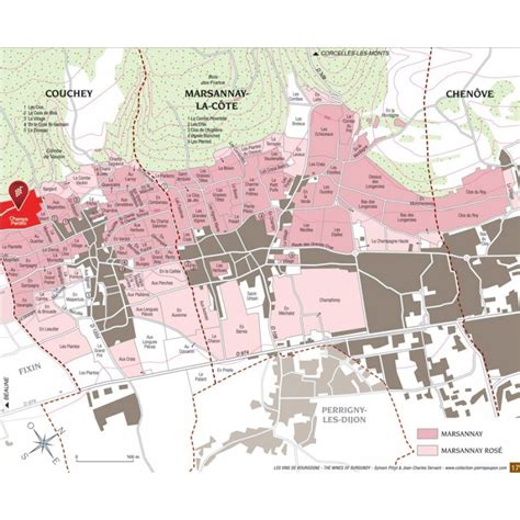 Marsannay Champs Perdrix 2020 Domaine Geantet Pansiot Côte de Nuits