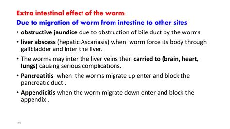 Ascaris Lumbricoides Ppt